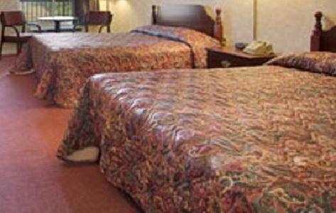 Super 8 By Wyndham Decatur Priceville Zewnętrze zdjęcie